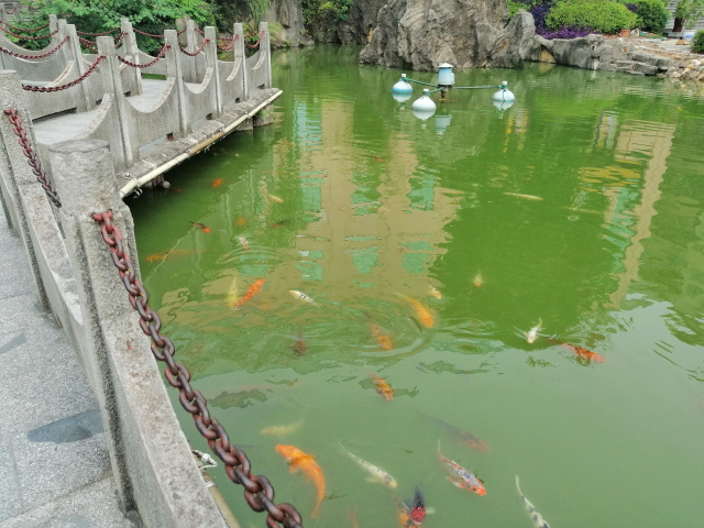 顏值與性能并存，還有AI四攝，華為麥芒7來(lái)了