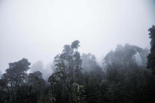 波濤？山路？風(fēng)雨兼程，麥芒無懼挑戰(zhàn)