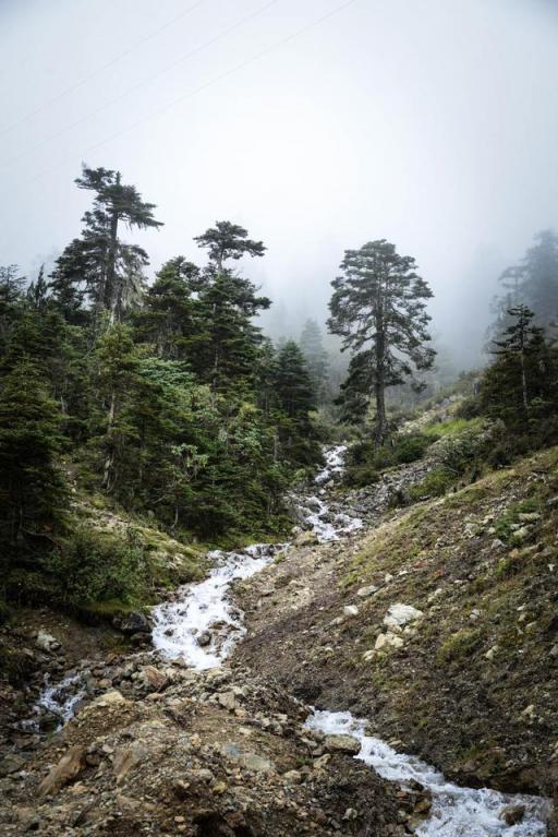 波濤？山路？風(fēng)雨兼程，麥芒無懼挑戰(zhàn)