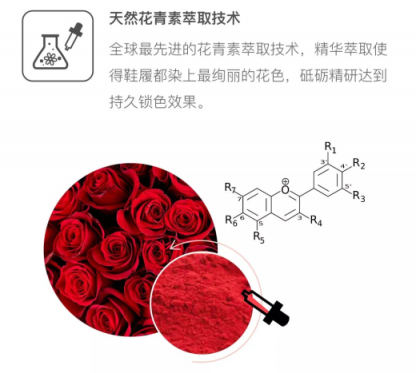 Everugg集香氣與帥氣于一身的鞋子 還有什么理由拒絕？