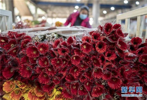 愛心助農(nóng)，花加FLOWERPLUS的暖心之策