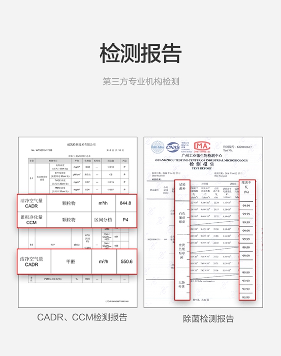 楊柳絮泛濫引發(fā)過敏癥，IAM空氣凈化器助你遠(yuǎn)離過敏“元兇”