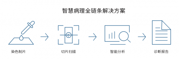 視見科技完成新一輪數千萬融資，產業(yè)資本助力AI病理加速落地