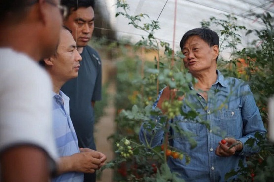 中和農(nóng)信：管種管收管賣，讓種植戶“省點心”