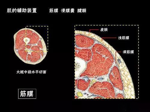 云麥筋膜槍 VS HYPERVOLT筋膜槍一哥的使用評測及感受