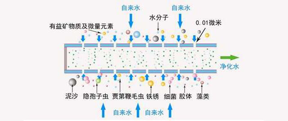 專業(yè)揭秘凈水器哪個好？品牌＆濾芯才是關鍵