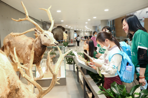 恒隆集團慶祝成立60周年，內(nèi)地九城及香港義工活動惠及4500人