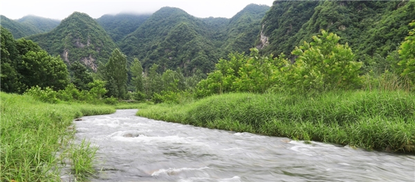 走進(jìn)仲景宛西制藥藥材基地 探索“藥材好，藥才好”的秘密