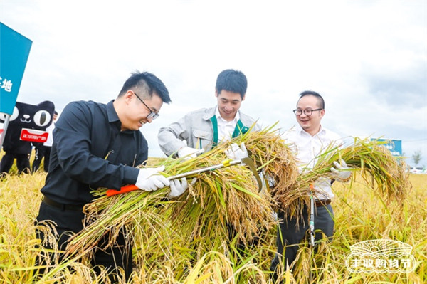 聚焦原產(chǎn)地，天貓將今年第一份“最好的大米”直達(dá)餐桌