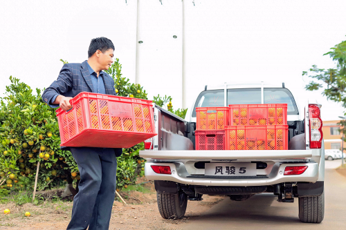 民生車典范，揭秘風(fēng)駿5受歡迎原因