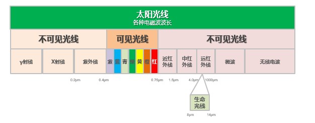 遠紅外電飯煲成為新趨勢，蘇泊爾推動行業(yè)升級