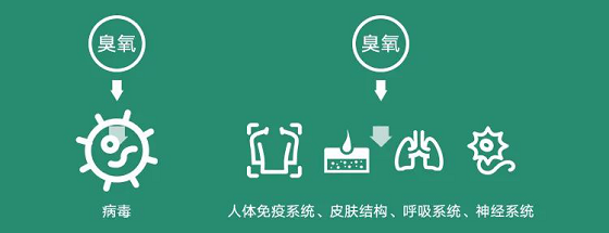 華為要賣空氣了？坐在北京也能享受呼倫貝爾的清新