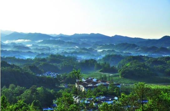 就地過年：這樣過出新鮮感！