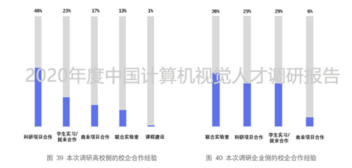 2020年度中國計算機視覺人才調研報告重磅出爐