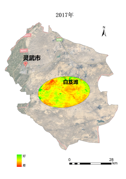 植樹節(jié)添新綠，平安科技展示“百萬植樹計劃”階段性成果