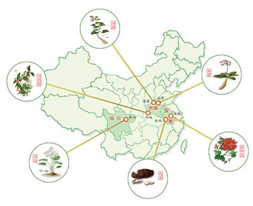 仲景之光普照醫(yī)圣故里——仲景宛西制藥守正創(chuàng)新高質(zhì)量發(fā)展紀(jì)實(shí)