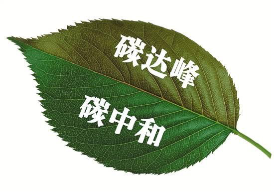 發(fā)揮數(shù)據(jù)最大價值，打造最強云底座 華為云助力“碳中和”賦能生態(tài)文明