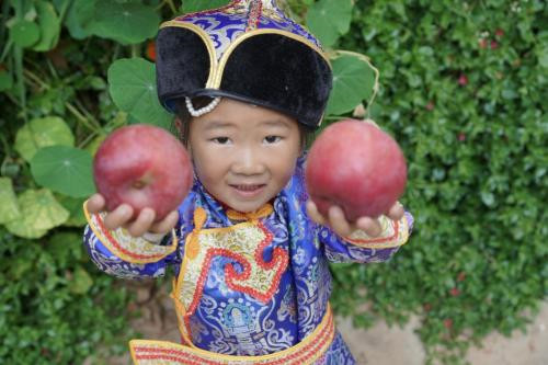 中國三星“分享村莊”項(xiàng)目 以實(shí)際行動助力中國鄉(xiāng)村產(chǎn)業(yè)振興之路