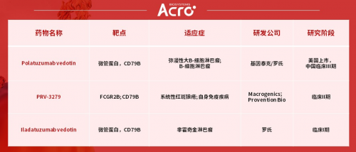 ACROBiosystems百普賽斯解讀CD79B，助力滿足臨床待滿足需求