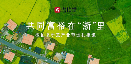 微拍堂攜手東陽(yáng)竹雕商家 走出一條特色文化共同富裕路