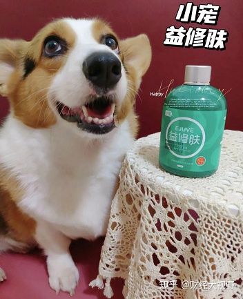 怕狗狗脫毛啦！我的小寵益修膚使用心得