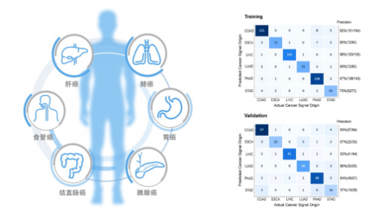 全病程管理基因檢測(cè)代表企業(yè)和瑞基因參加第二屆全國(guó)肝癌學(xué)術(shù)會(huì)議