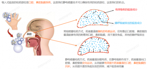 2021年度十大流行語發(fā)布！橙色云參與了這些跨界項(xiàng)目