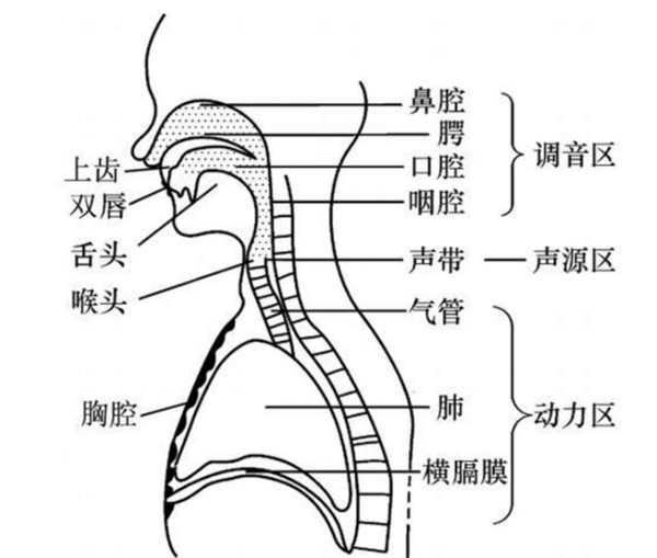 百分點(diǎn)科技：聲紋識(shí)別技術(shù)發(fā)展及未來趨勢(shì)研究