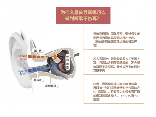 骨傳導(dǎo)耳機(jī)真的能保護(hù)耳朵和聽力嗎？骨傳導(dǎo)耳機(jī)原理科普及分析