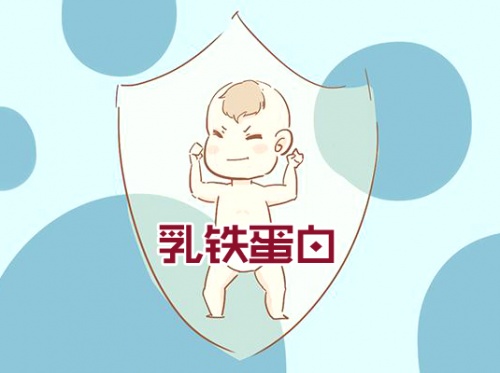 ?乳鐵蛋白奶粉哪個(gè)品牌好？這款荷蘭奶粉受到“皇家”認(rèn)可！