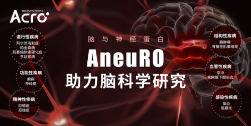 ACROBiosystems百普賽斯推出AneuRO腦與神經(jīng)蛋白，助力加速腦科學(xué)研究