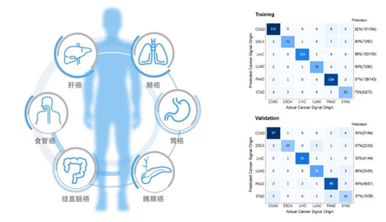 和瑞基因CEO周珺：腫瘤基因檢測市場還沒“開花結(jié)果”