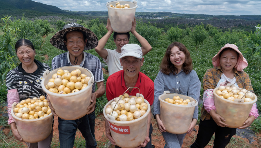 2024中國(guó)農(nóng)產(chǎn)品電商發(fā)展報(bào)告發(fā)布，拼多多從人與技術(shù)入手培育新質(zhì)生產(chǎn)力.jpg