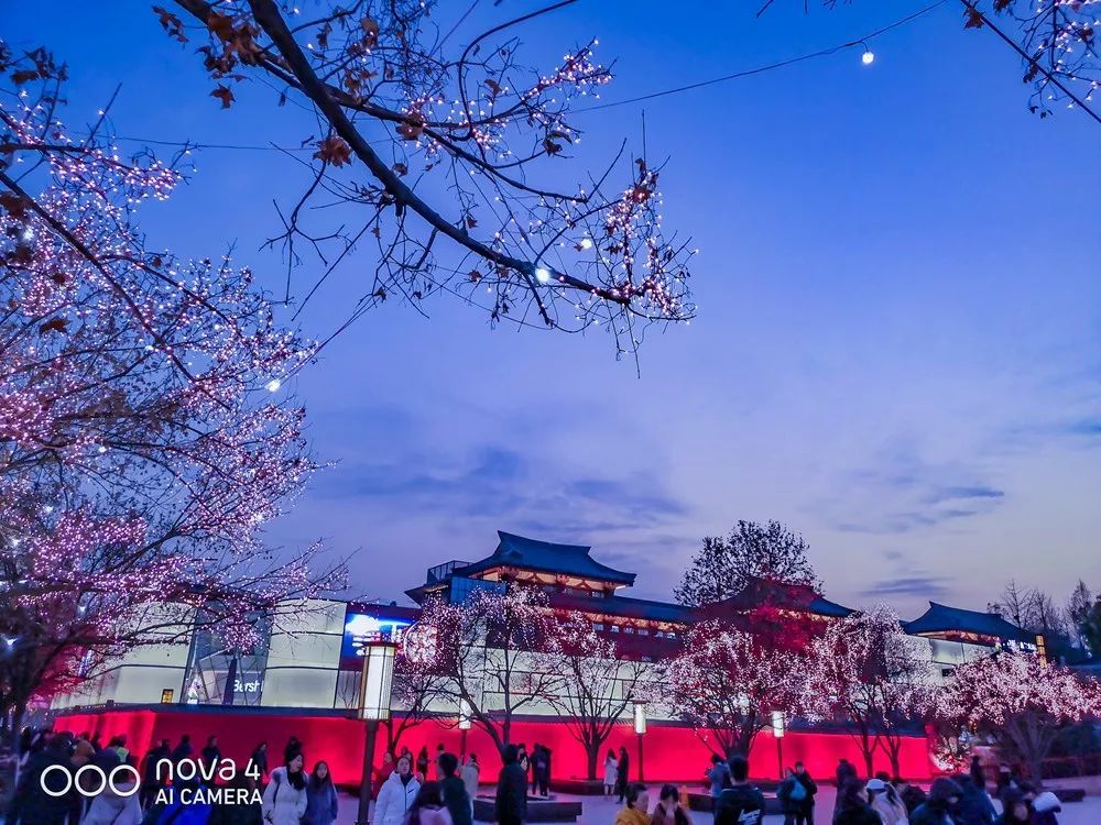 從蒼茫大地到絢麗古都，用華為nova4的超廣角留住一路美景