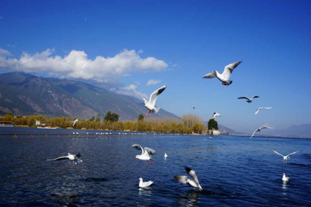 避開(kāi)喧鬧的人群，五一旅游最佳去處