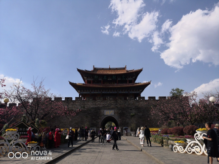 櫻花，油菜花，雪山，古城，憑海臨風(fēng)一個(gè)不漏，陽(yáng)春三月浪在大理