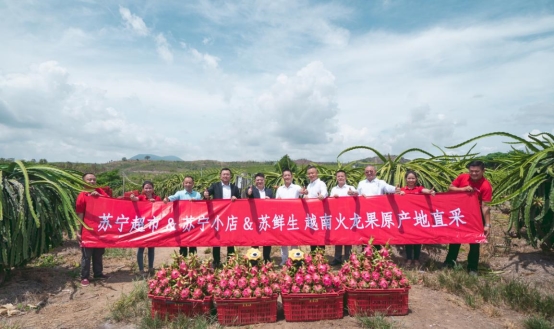 越南火龍果的20分鐘旅程，蘇寧快消實(shí)地見證