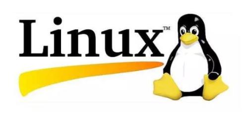 感受開源之美，共享 Linux 的安全與便捷