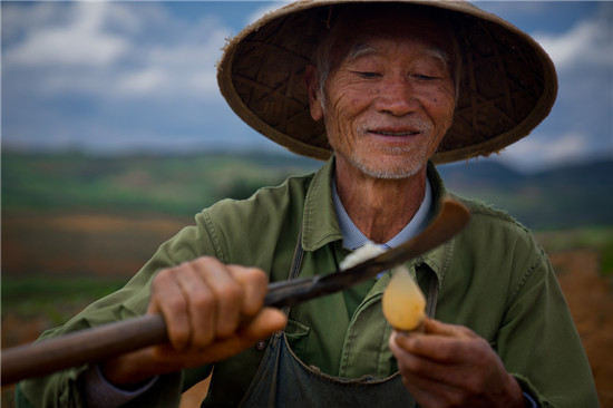 平臺推動農(nóng)業(yè)化產(chǎn)業(yè)升級，拼多多式的供給側(cè)變革