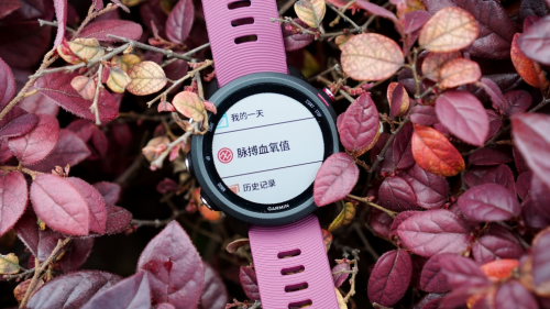 Garmin Forerunner 245，全新升級(jí)帶來(lái)全新體驗(yàn)