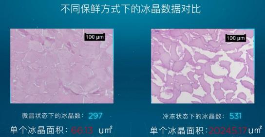 引爆冰箱行業(yè)的“微晶一周鮮”大揭秘！美的微晶冰箱如何做到“不凍原鮮，口感如初”？