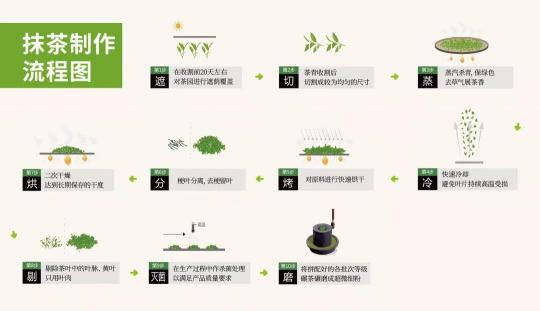 你喝的是抹茶還是茶粉?五個方面看清真假