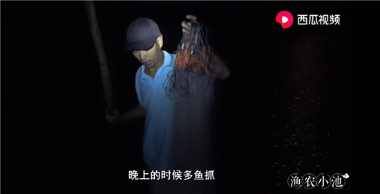 烏魚主動(dòng)上船、魚蝦講究體面，“姜太公”式打漁走紅西瓜視頻