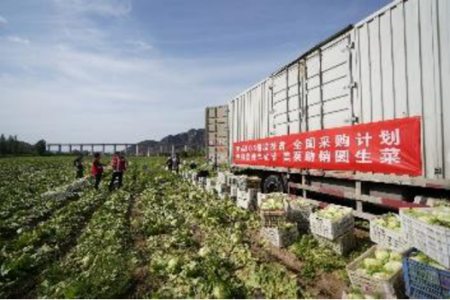 美菜網(wǎng)加速推進(jìn)縣域合伙人制度，助力鄉(xiāng)村振興