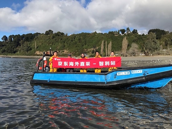 從新西蘭奇異果到挪威三文魚 京東生鮮成國(guó)際大牌首發(fā)陣地