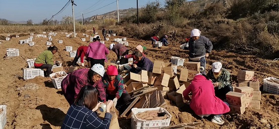 僅用一個小程序，傳統(tǒng)國貨品牌七匹狼挺進(jìn)下沉市場實現(xiàn)新增客流90萬