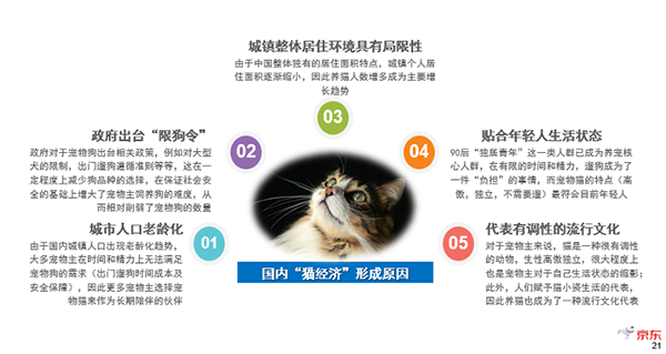 《2019中國(guó)寵物消費(fèi)趨勢(shì)報(bào)告》新鮮出爐，貓咪成年輕人標(biāo)配