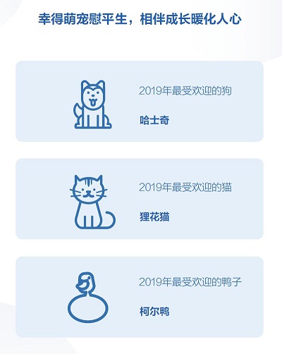 抖音發(fā)布2019數據報告 最受歡迎的萌寵是哈士奇和貍花貓