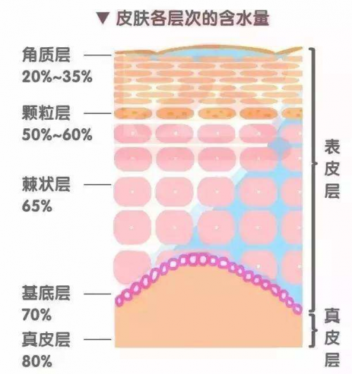 干皮如何補水？正確補水方式讓你度過干燥春季