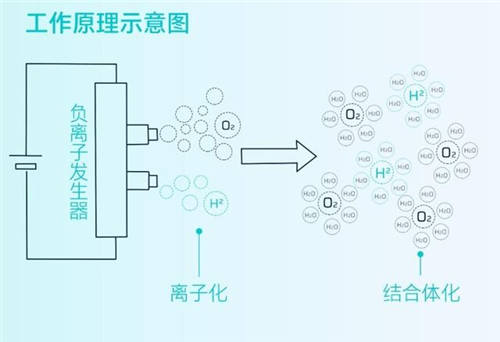 守護全方位，安全無死角，HYCAN 007將搭載HEPA高效空調(diào)濾芯